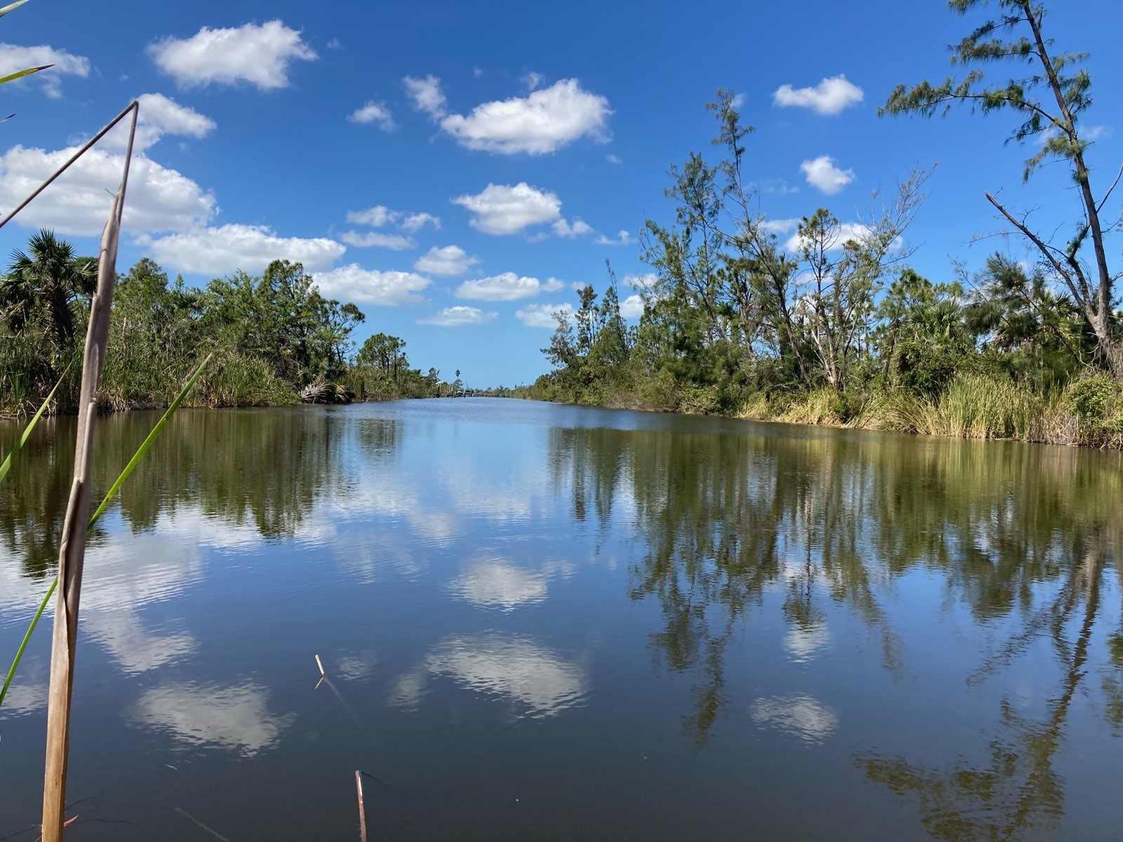 10093 Hallendale Drive Port Charlotte FL 33981 D6140663 image2