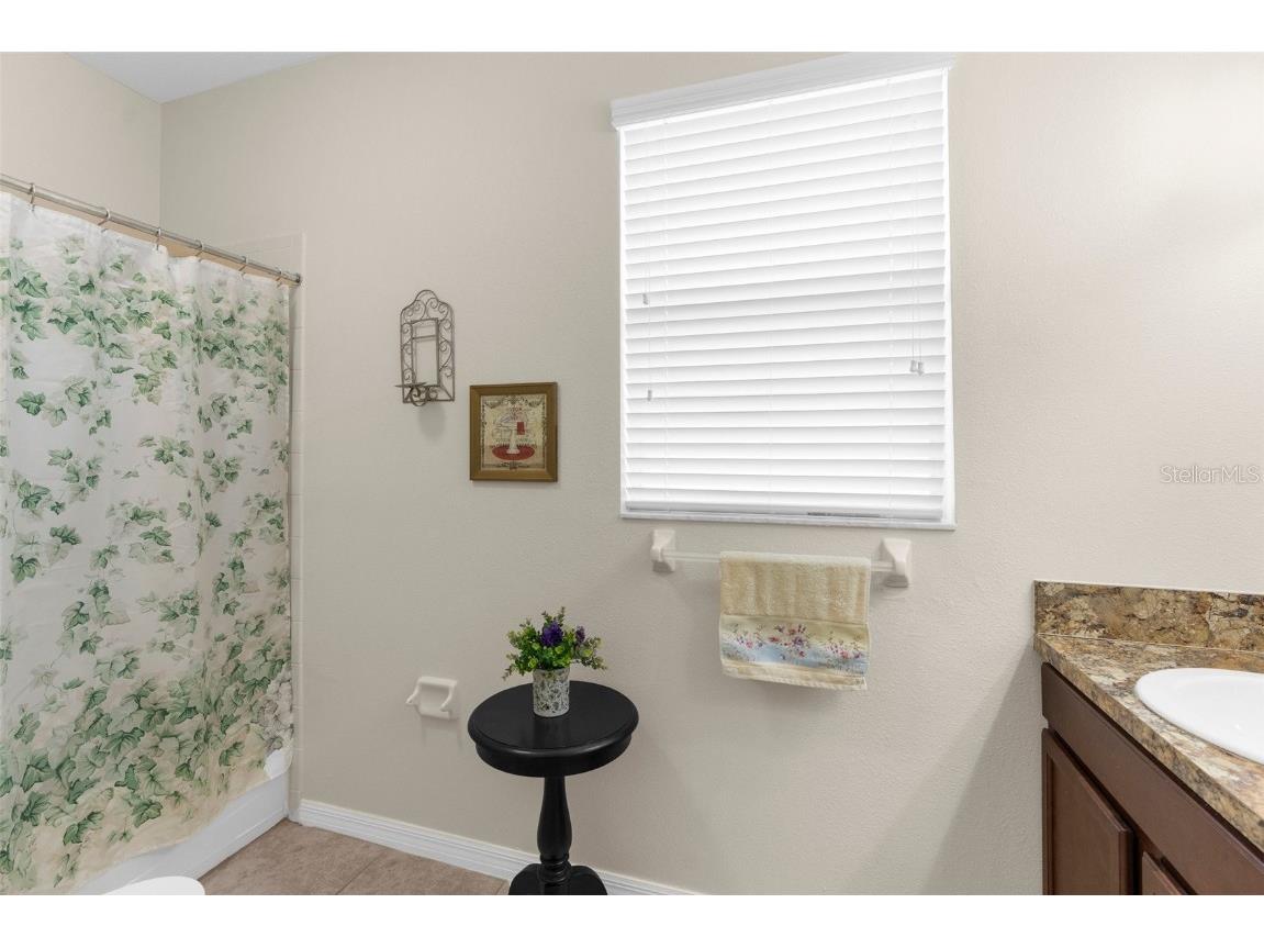 10094 Bankston Drive Hudson FL 34667 TB8413690 image25