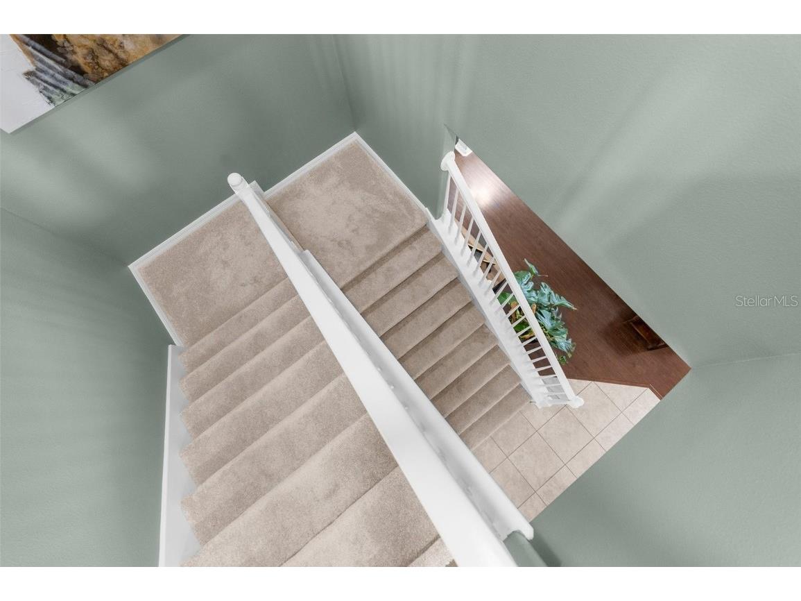 10094 Bankston Drive Hudson FL 34667 TB8413690 image7