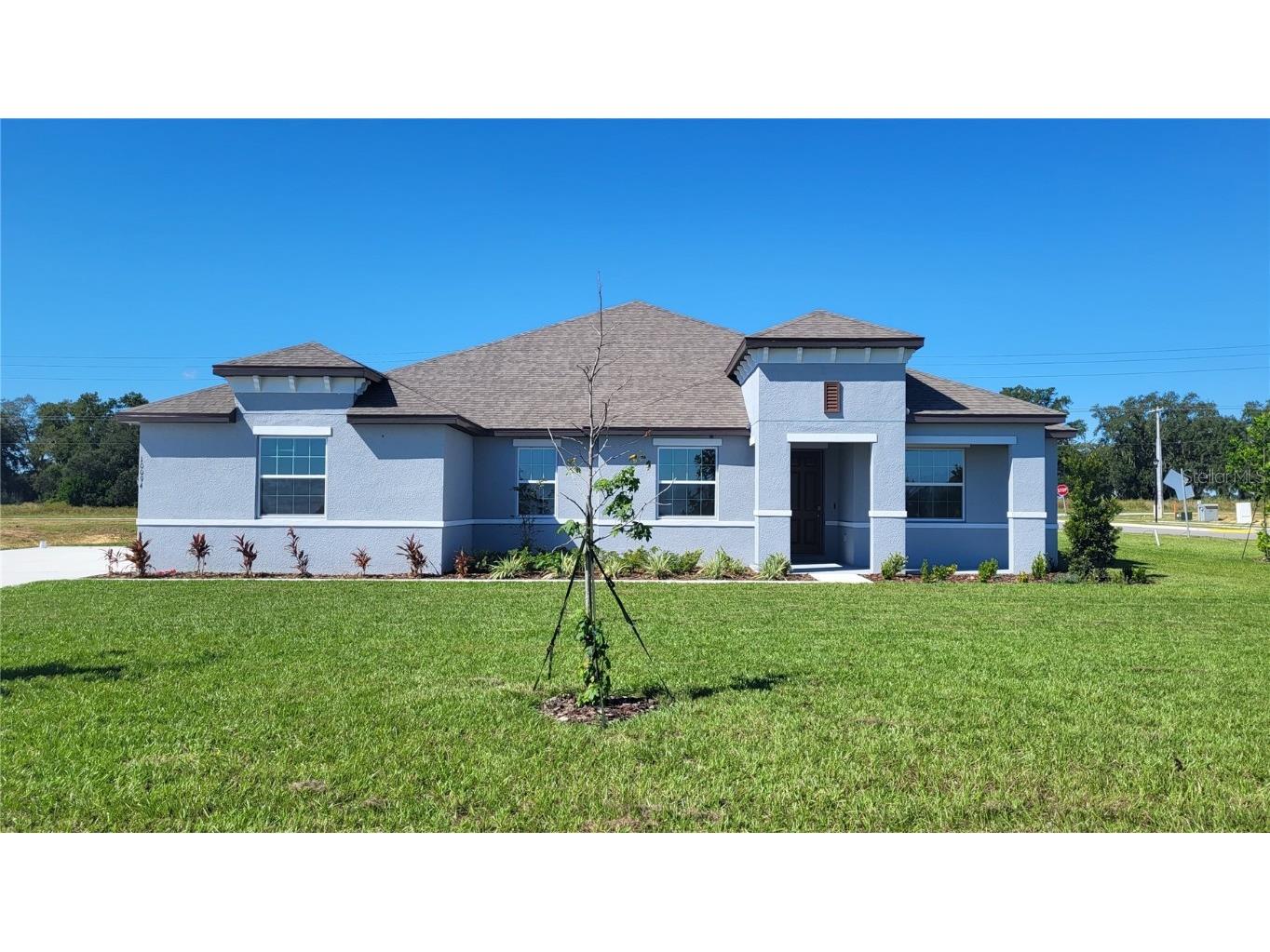 10094 Dolphin Gull Circle Thonotosassa FL 33592 O6148851 image1