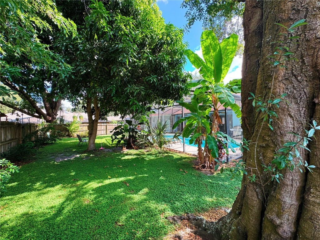 10095 Brandon Circle Orlando FL 32836 O6345309 image37