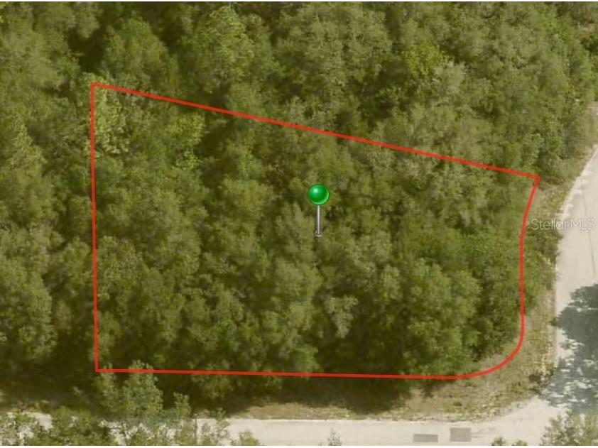 10098 N Halsey Way Citrus Springs FL 34434 A4596016 image1