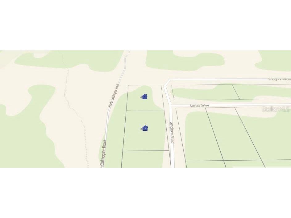 101 & 103 Longhorn Lane Florahome FL 32140 O6346759 image2