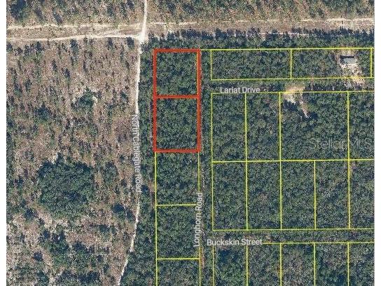 101 & 103 Longhorn Lane Florahome FL 32140 O6346759 image3