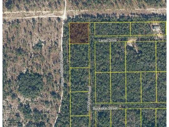 101 & 103 Longhorn Lane Florahome FL 32140 O6346759 image4