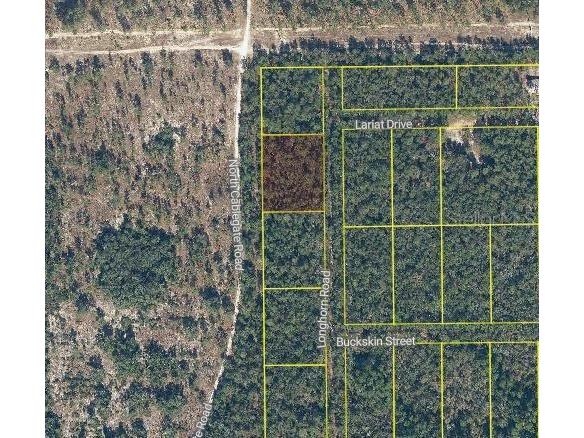 101 & 103 Longhorn Lane Florahome FL 32140 O6346759 image5