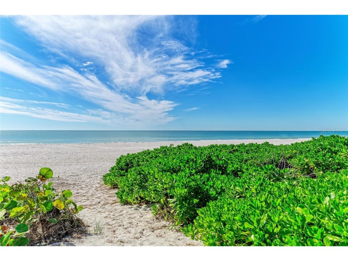 101 73rd Street #2 Holmes Beach FL 34217 - GULF OF MEXICO A4669721 image41
