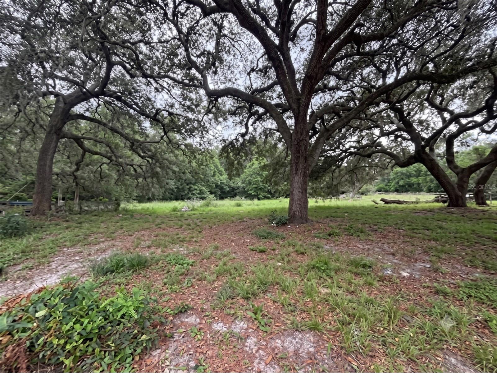 101 Allen Drive Palatka FL 32177 O6420134 image16