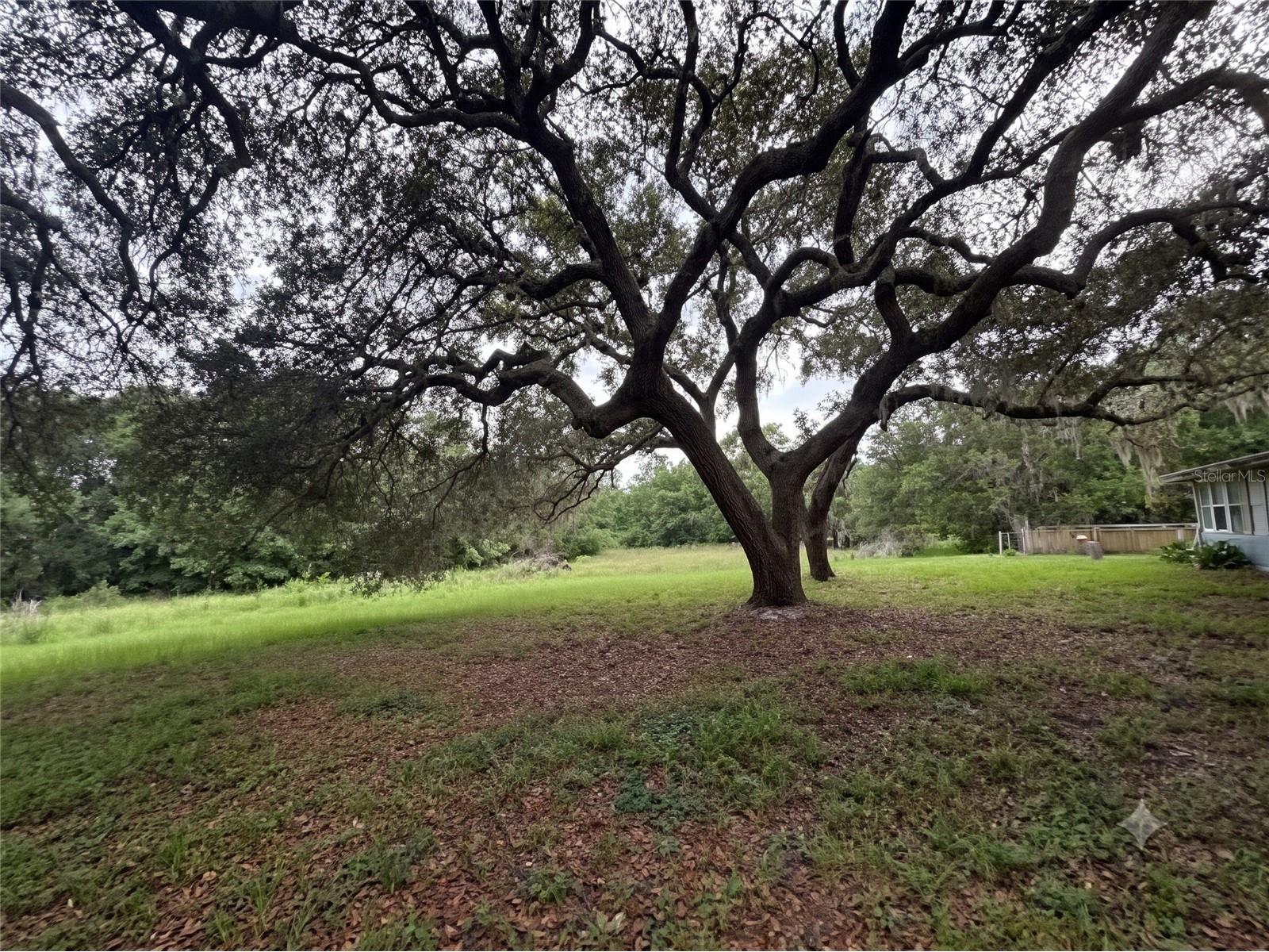 101 Allen Drive Palatka FL 32177 O6420134 image17