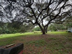 101 Allen Drive Palatka FL 32177 O6420134 image18