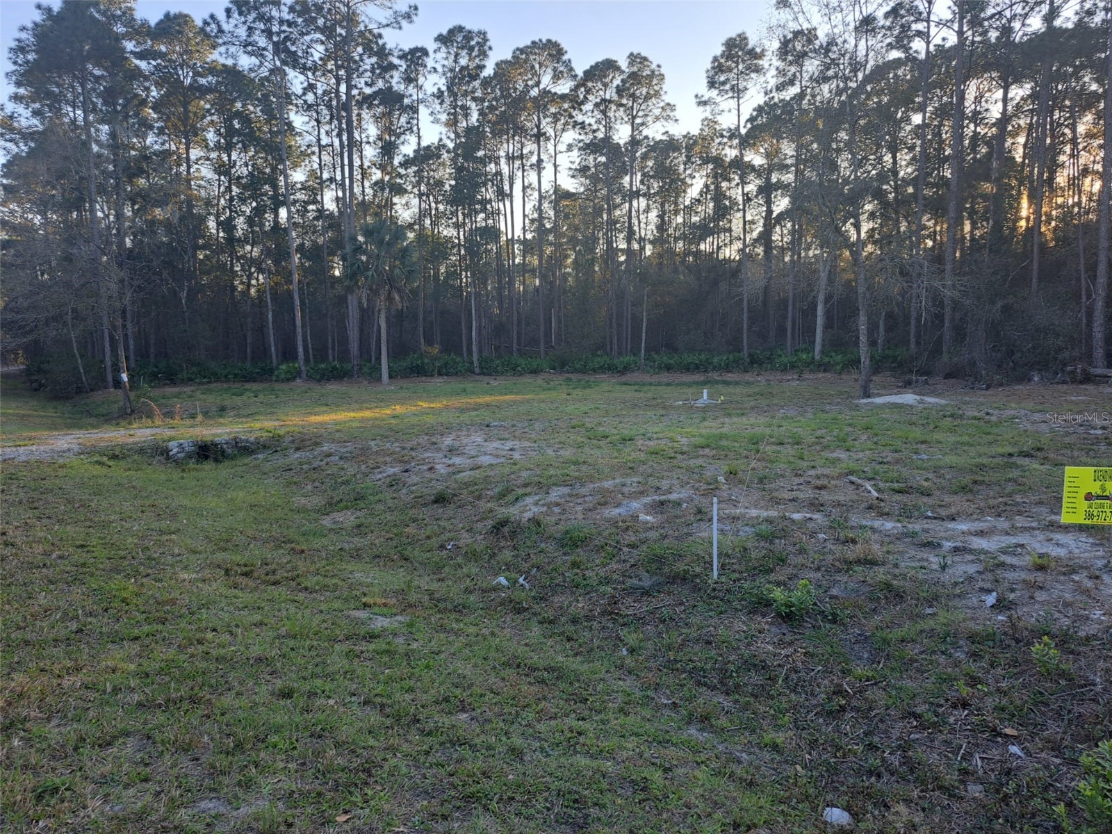 101 Anne Boulevard Georgetown FL 32139 O6344092 image4