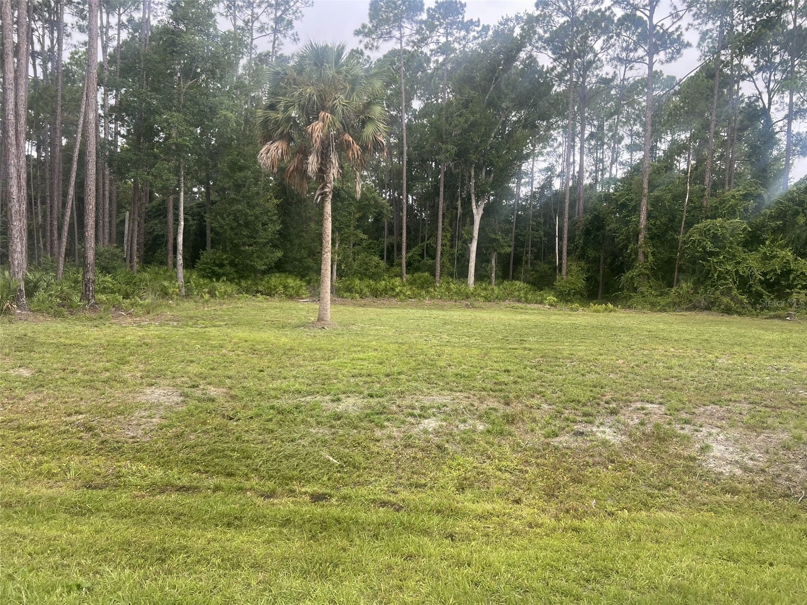 101 Anne Boulevard Georgetown FL 32139 O6344092 image5