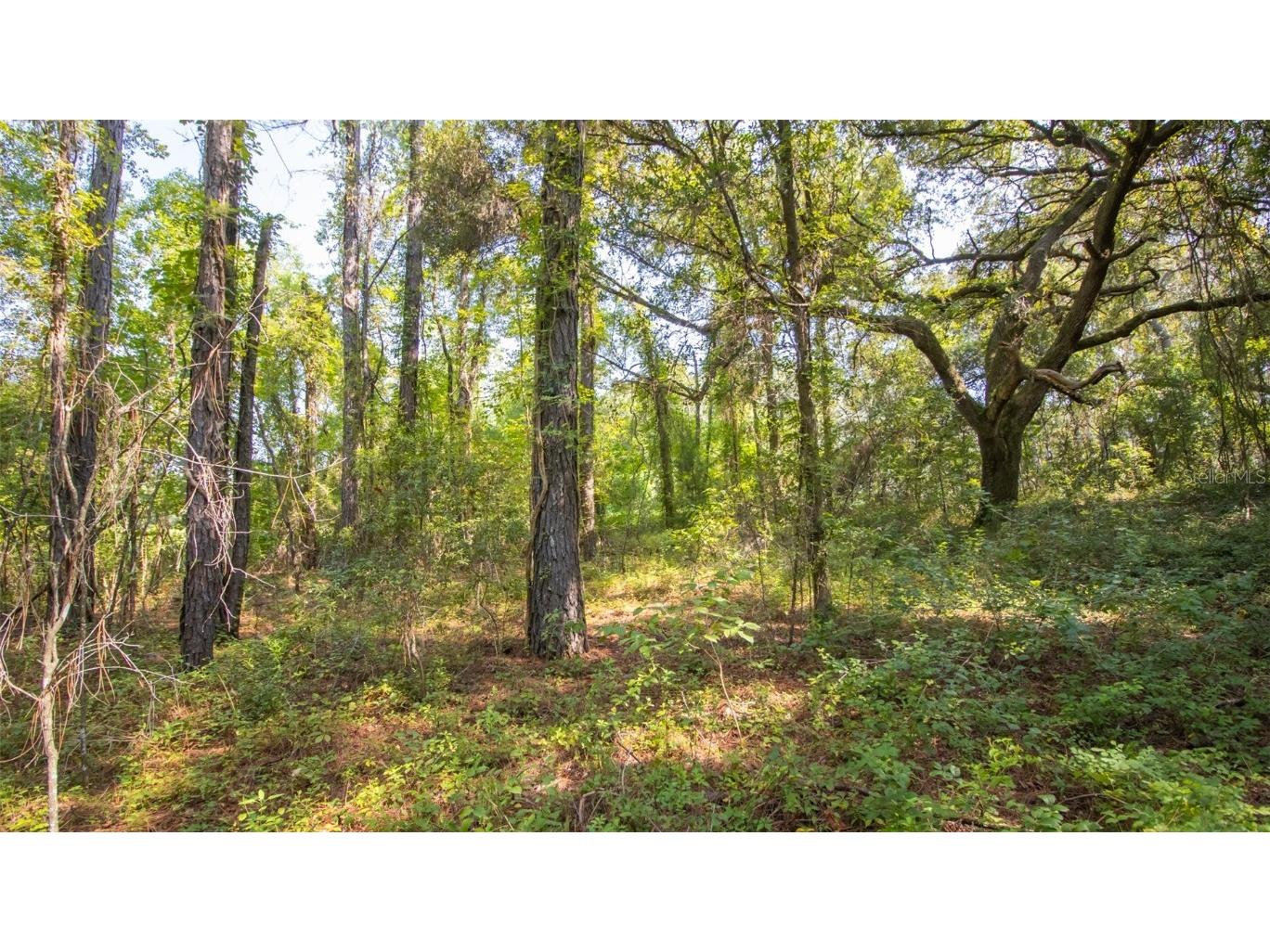 101 Ashley Lake Drive Melrose FL 32666 GC536242 image13