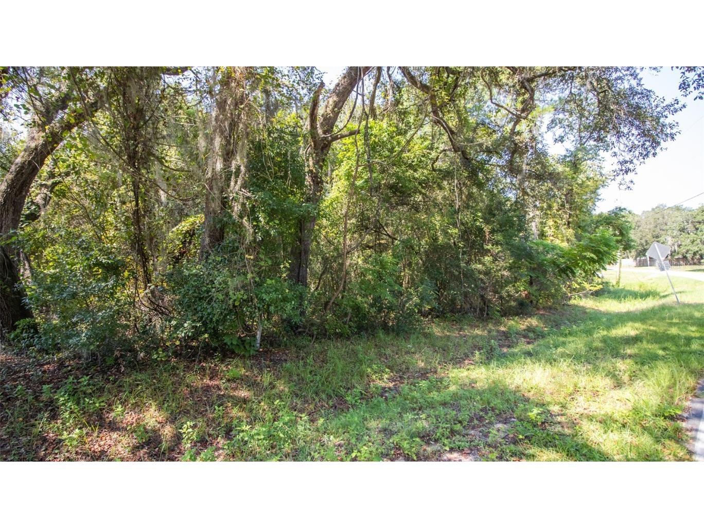 101 Ashley Lake Drive Melrose FL 32666 GC536242 image14