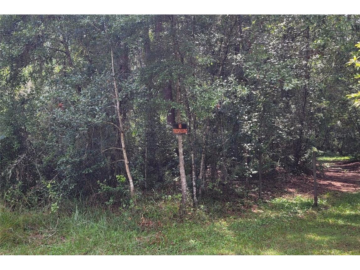 101 Beach Drive Florahome FL 32140 GC532050 image1