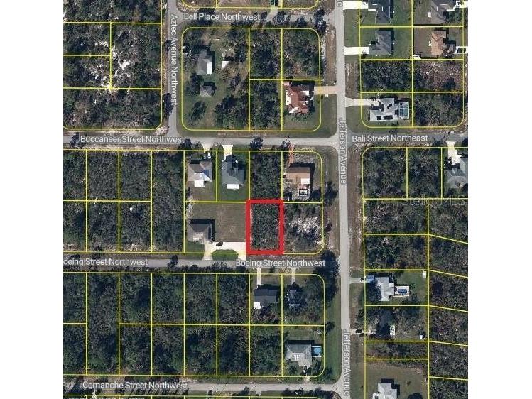 101 Boeing Street NW Lake Placid FL 33852 L4960386 image1