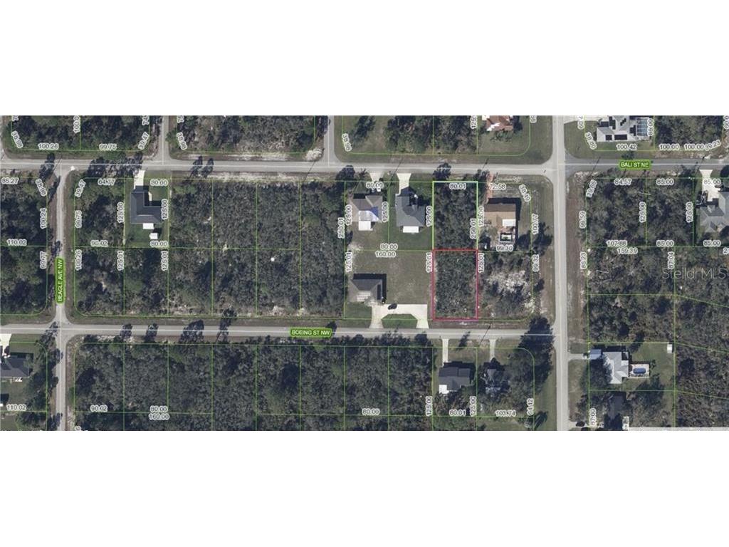 101 Boeing Street NW Lake Placid FL 33852 L4960386 image4