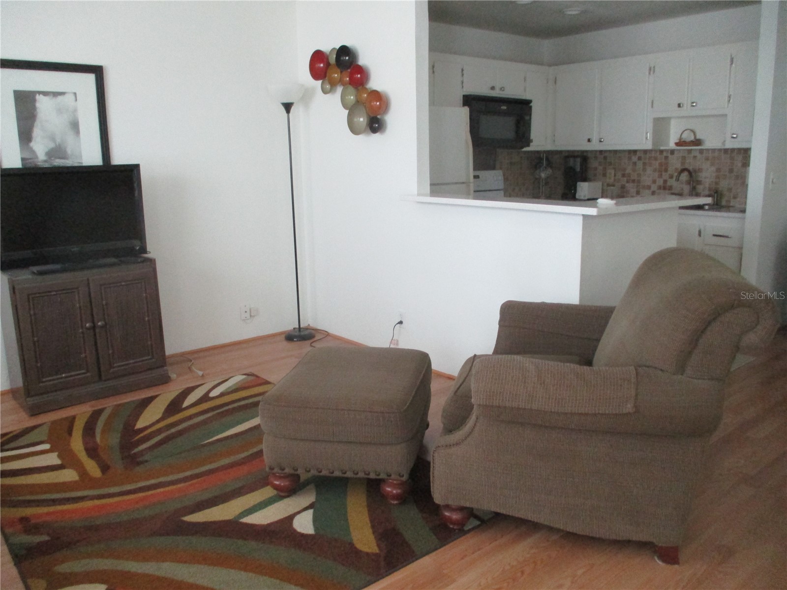 101 Cambridge Trail #211 Sun City Center FL 33573 TB8509149 image3