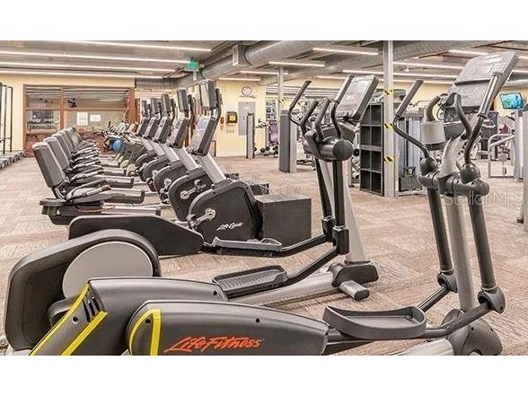 101 Cambridge Trl #205 Sun City Center FL 33573 TB8491965 image24