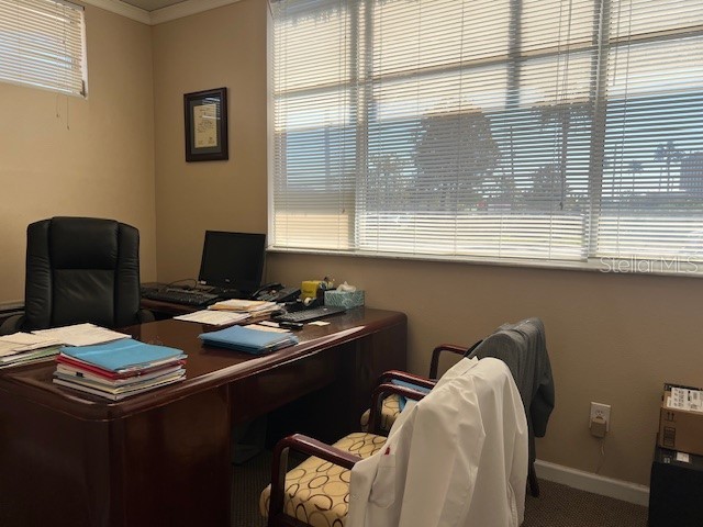 101 Clearwater Largo Road N Largo FL 33770 U8224463 image8