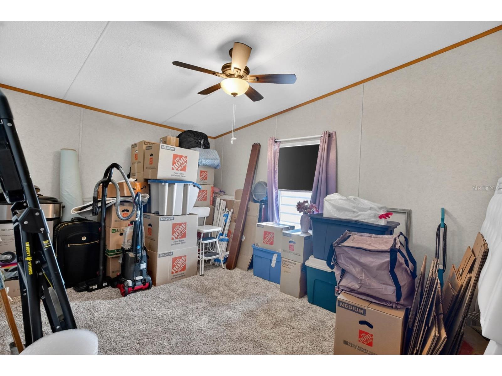 101 Coleman Place Satsuma FL 32189 FC318541 image22