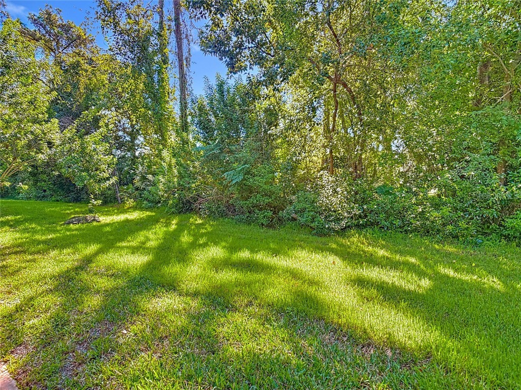 101 Cotton Seed Trail Ormond Beach FL 32174 V4945077 image36