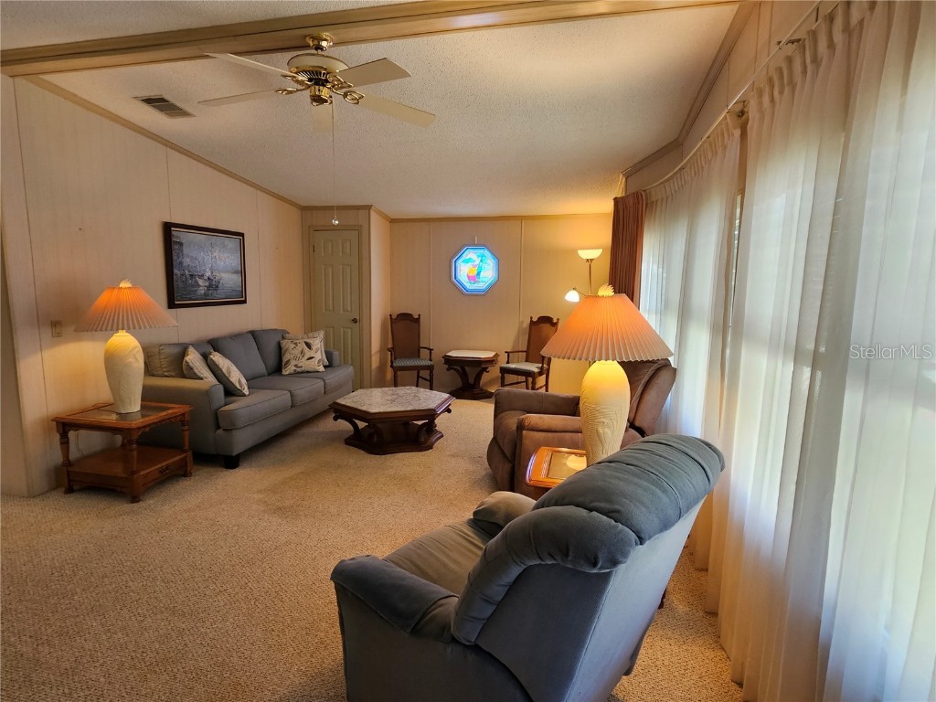 101 Dolphin Drive N Oldsmar FL 34677 TB8444809 image11