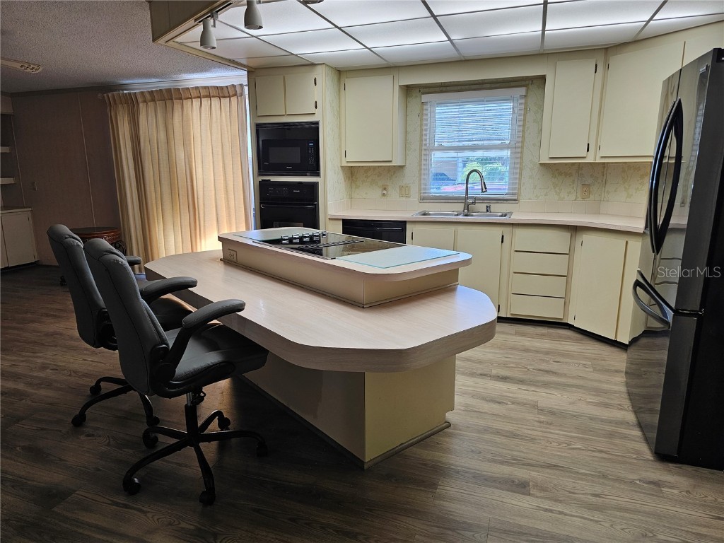 101 Dolphin Drive N Oldsmar FL 34677 TB8444809 image15