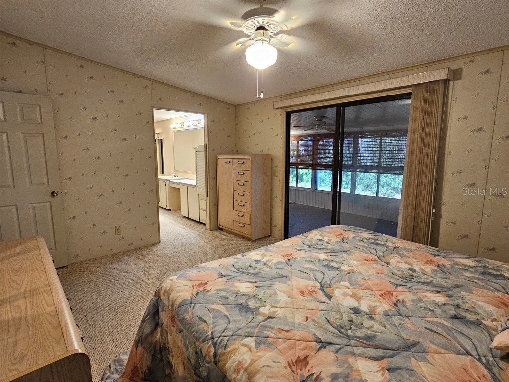 101 Dolphin Drive N Oldsmar FL 34677 TB8444809 image20