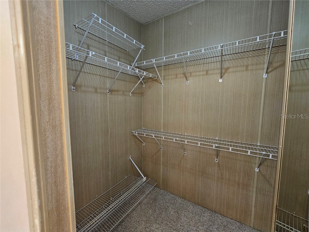 101 Dolphin Drive N Oldsmar FL 34677 TB8444809 image23