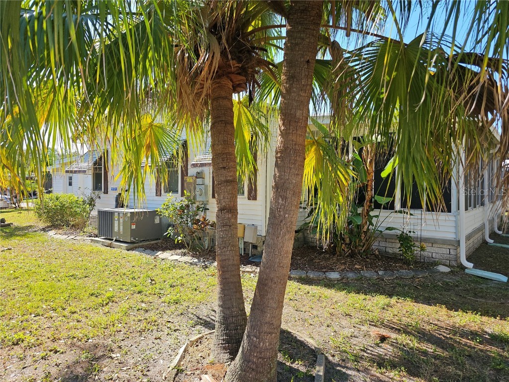 101 Dolphin Drive N Oldsmar FL 34677 TB8444809 image5