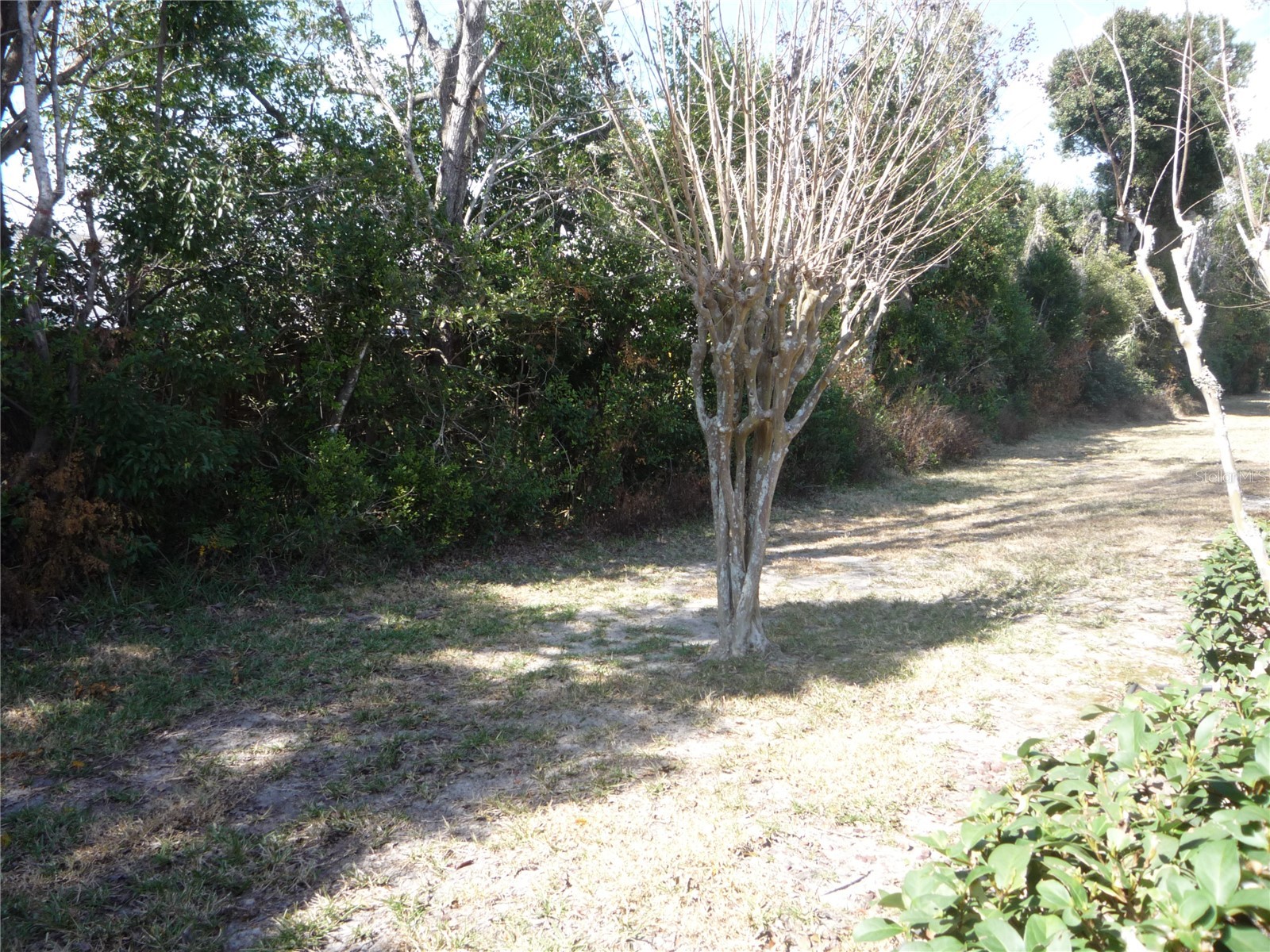 101 Grand Plaza Drive #F3 Orange City FL 32763 O6383416 image10