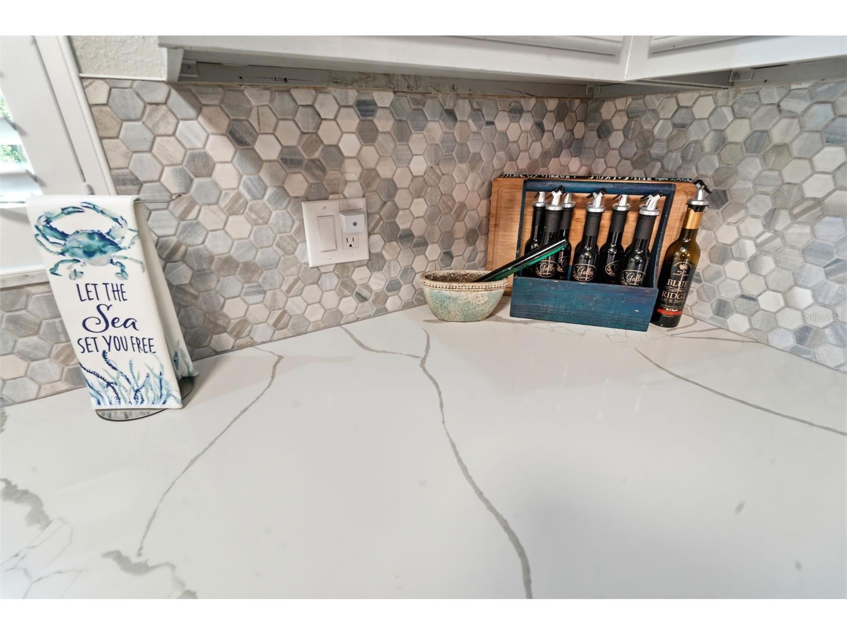 101 Grand Plaza Drive #F60 Orange City FL 32763 V4949814 image17