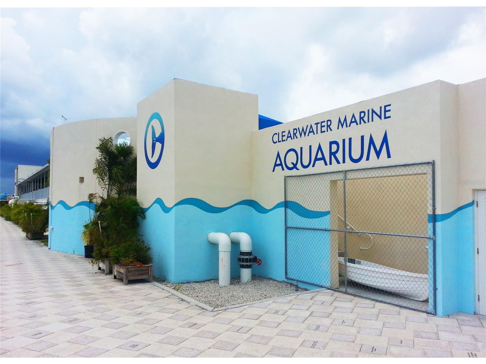 101 Harrison Avenue Belleair Beach FL 33786 - CLEARWATER HARBOR TB8523914 image96