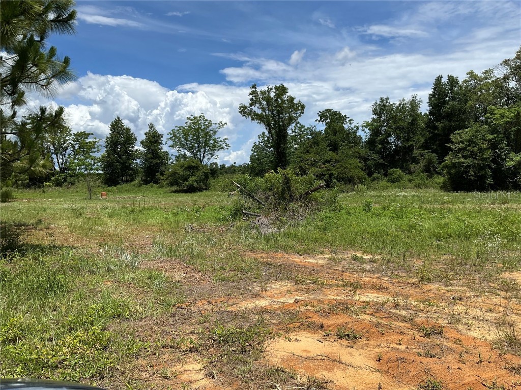 101 Hickory Lane Interlachen FL 32148 G5099205 image3