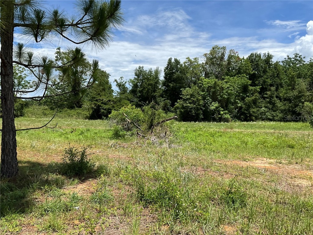 101 Hickory Lane Interlachen FL 32148 G5099205 image4