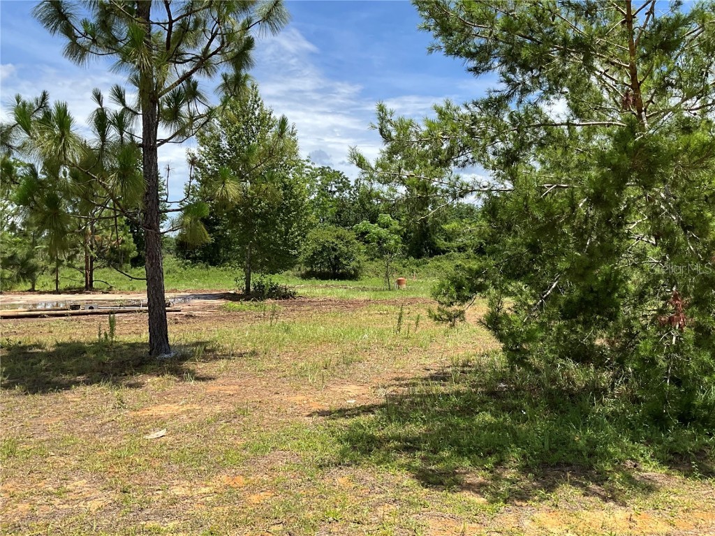 101 Hickory Lane Interlachen FL 32148 G5099205 image5