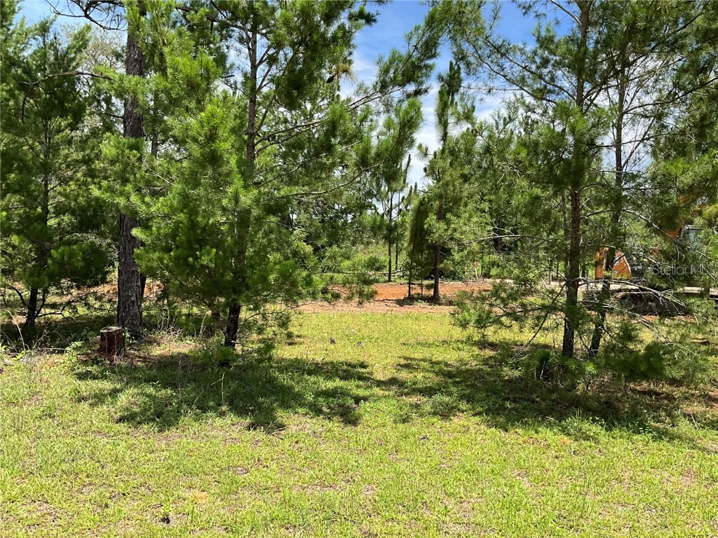 101 Hickory Lane Interlachen FL 32148 G5099205 image6