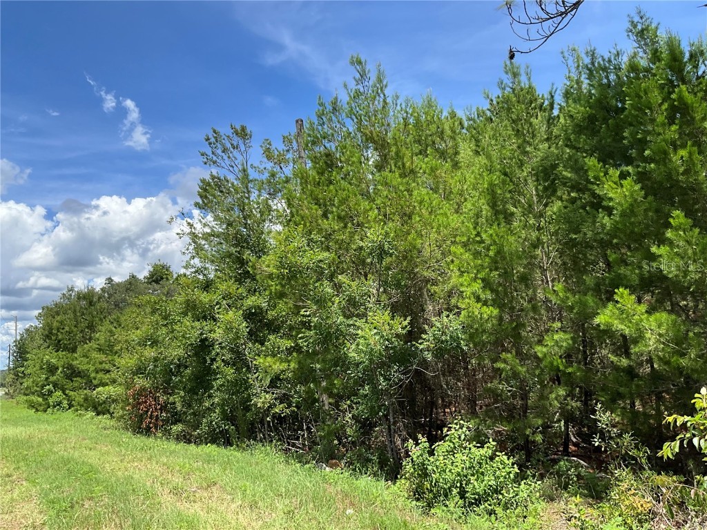 101 Hickory Lane Interlachen FL 32148 G5099205 image7