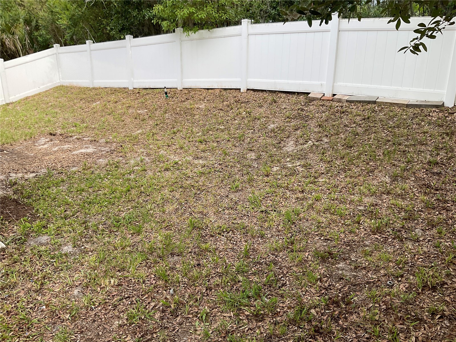 101 Hurst Court Deland FL 32724 V4949548 image3