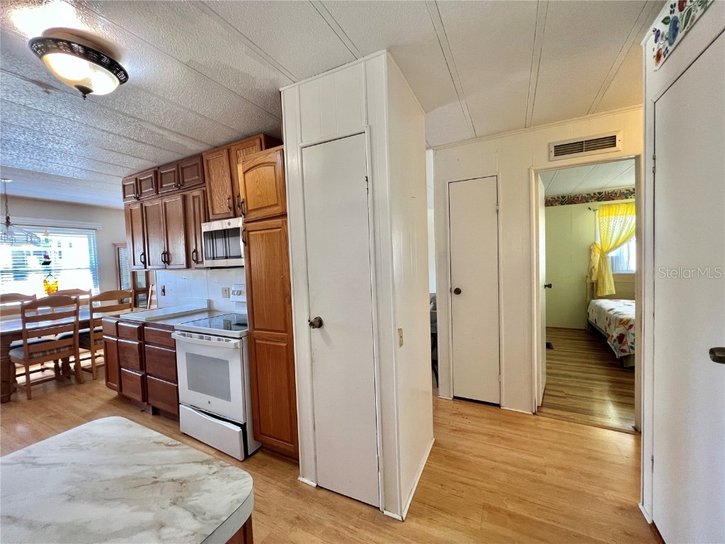 101 Ixora Way Leesburg FL 34748 G5104618 image23
