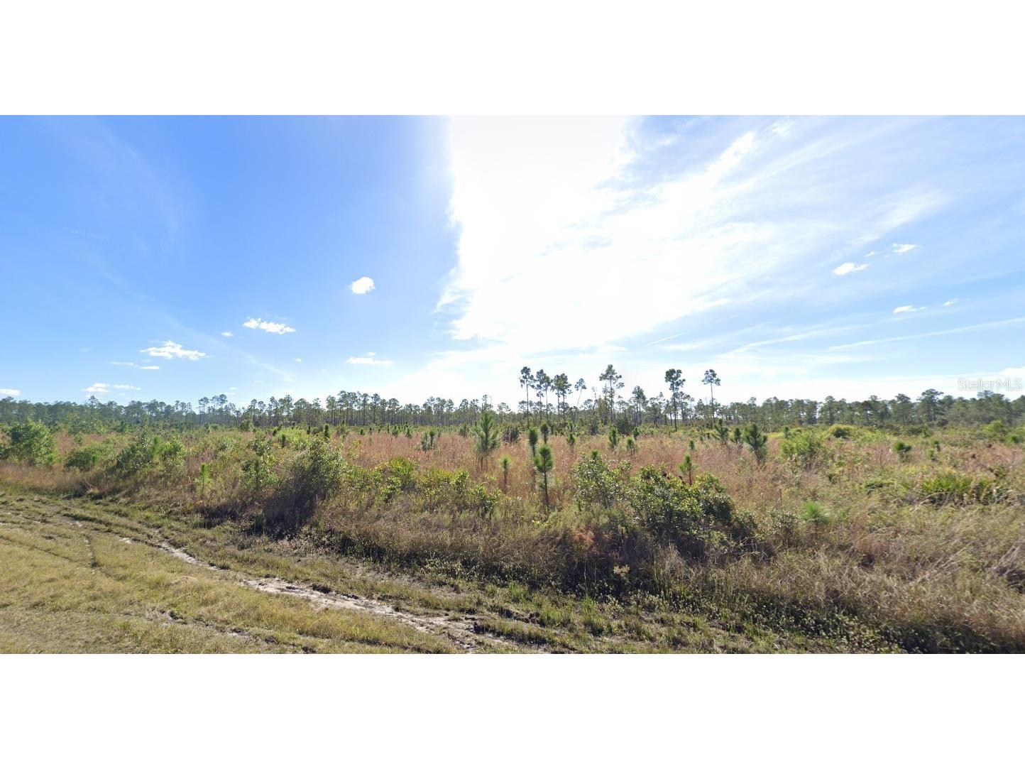 101 Japonica Avenue Indian Lake Estates FL 33855 O6255307 image1