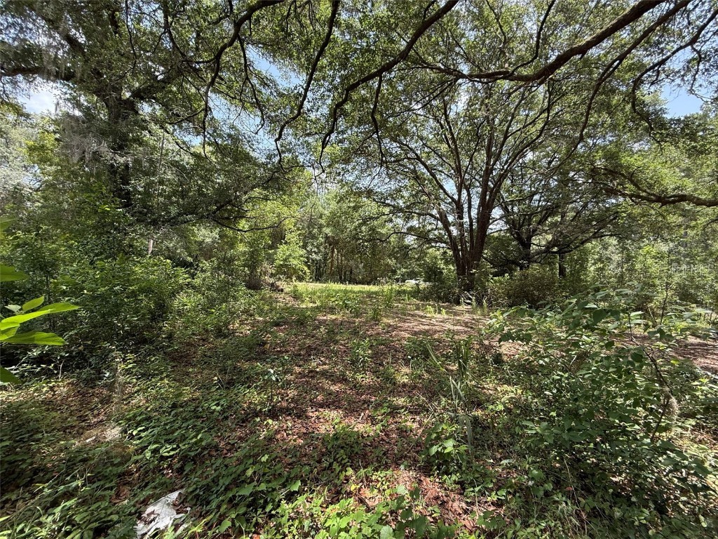 101 Joel Avenue Interlachen FL 32148 OK225113 image1