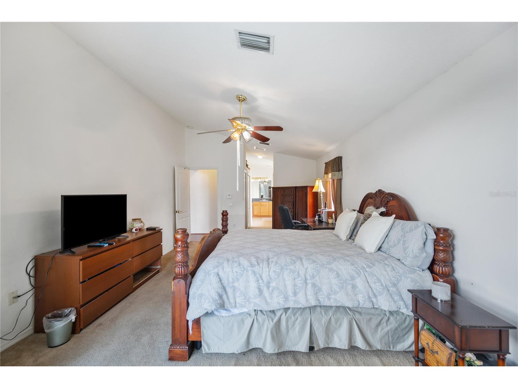 101 Kiana Drive Brandon FL 33511 L4959953 image19