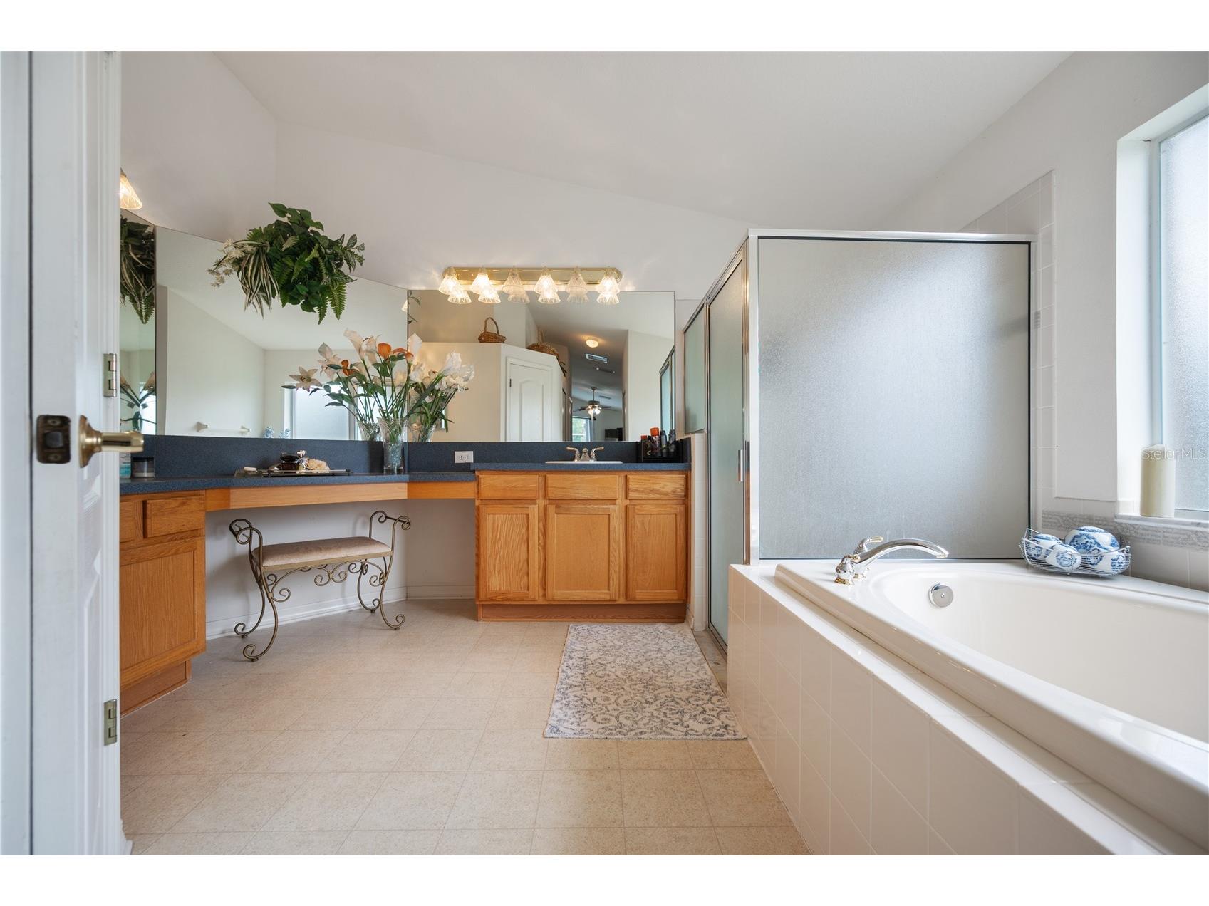 101 Kiana Drive Brandon FL 33511 L4959953 image23