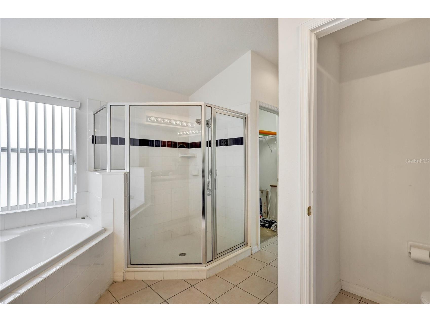 101 Kildrummy Drive Davenport FL 33896 S5149077 image28