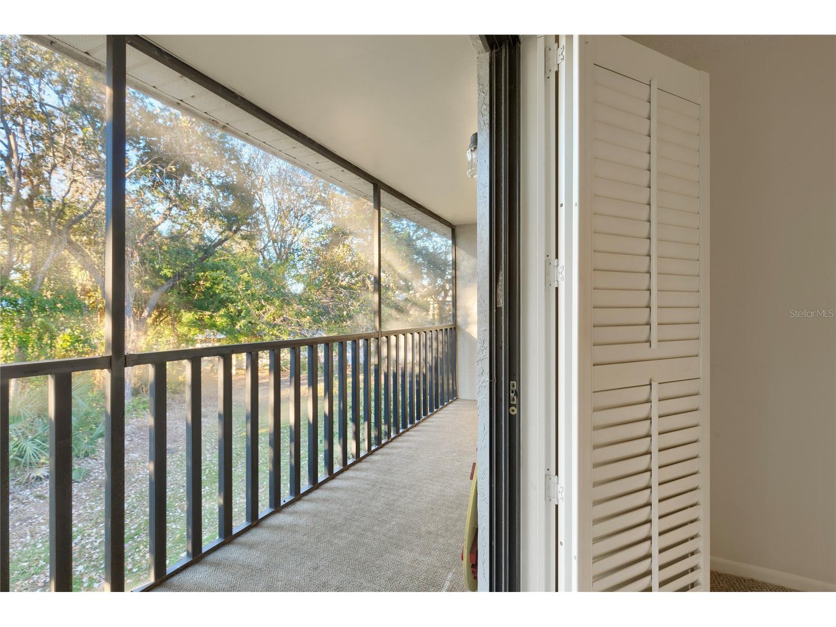 101 Lake Avenue NE #209 Largo FL 33771 TB8469527 image22