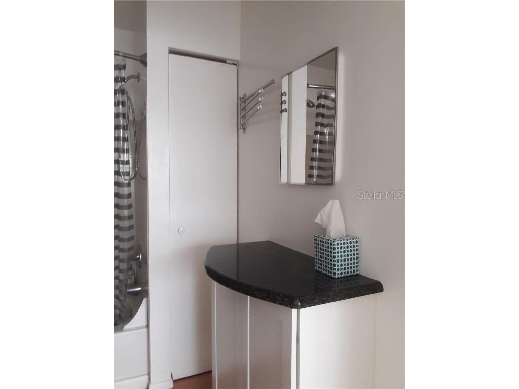 101 Lake Avenue NE #222 Largo FL 33771 U8240152 image25