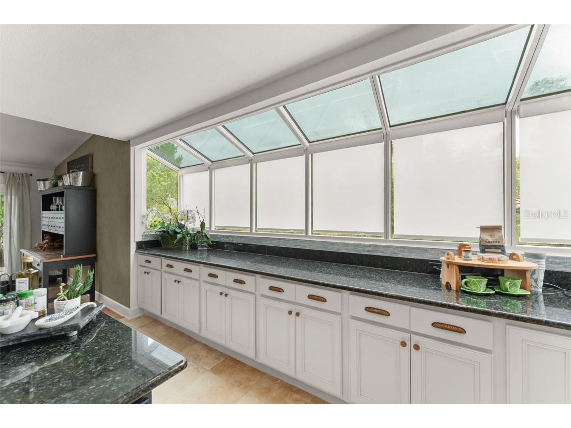 101 Lee Street Windermere FL 34786 O6363362 image41