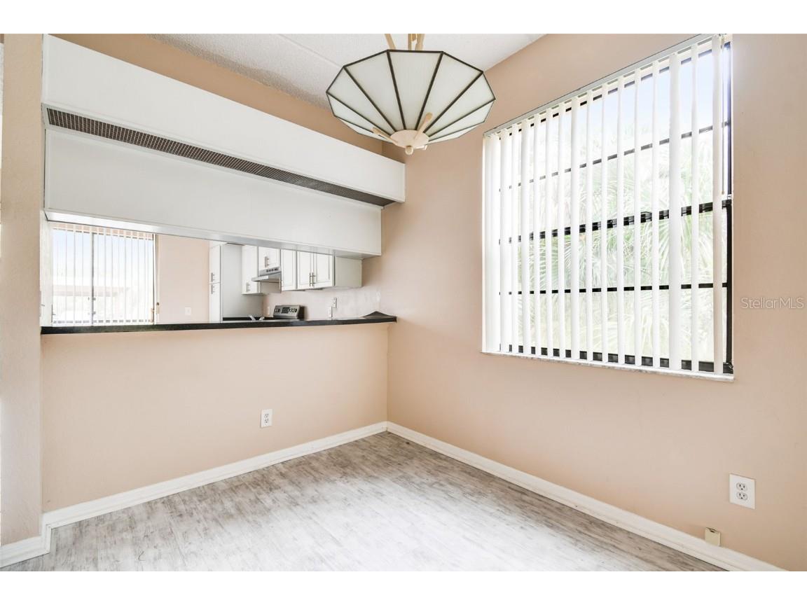 101 Lindsay Lane Oldsmar FL 34677 TB8457227 image46